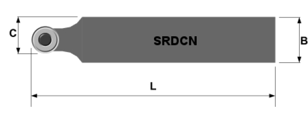 SRDCN2020 K08